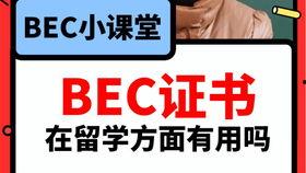 大舅英语爆料视频大全最新,视频大全中的趣味英语学习之旅