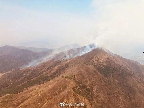 桂平山火灾最新爆料消息,火势控制与救援行动纪实